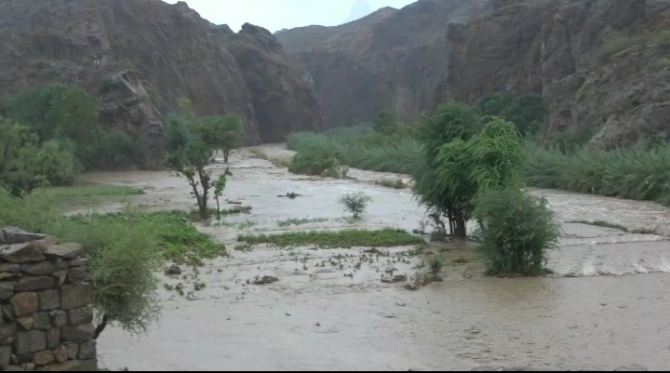 
		سيول الأمطار الغزيرة تجرف أراضي زراعية في هذه المحافظة (صور)
