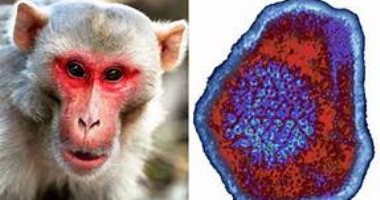 
		"CDC" يقيم استخدام لقاح الجدرى للوقاية من جدرى القرود للفئات المعرضة للخطر