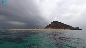 
		طويل الحجم .. حوت نافق يجنح على شاطئ شرق السعودية وهكذا تم التعامل معه(صورة)