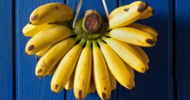 
		منها الوقاية من أمراض القلب والأوعية الدموية.. 10 فوائد عظيمة لجسمك إذا تناولت الموز ليلاً